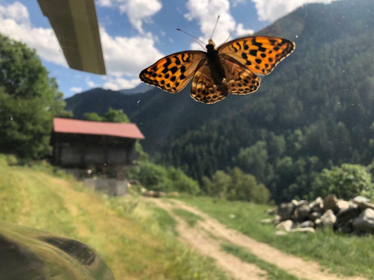 Chalet le Verger Les Les Agettes Eksteriør bilde